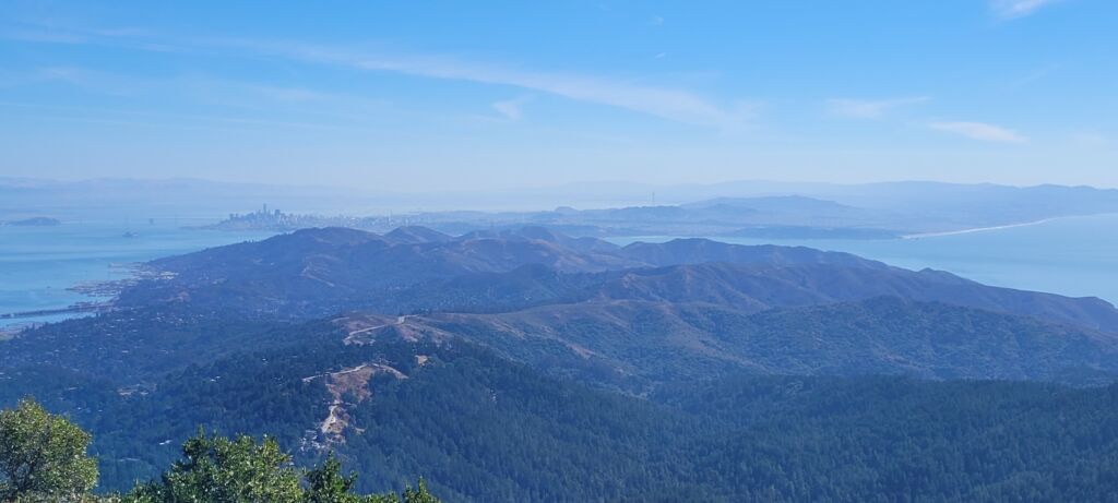 A view along a tree-covered Mount Tamalpais with San Francisco and the Pacific Ocean in the distance