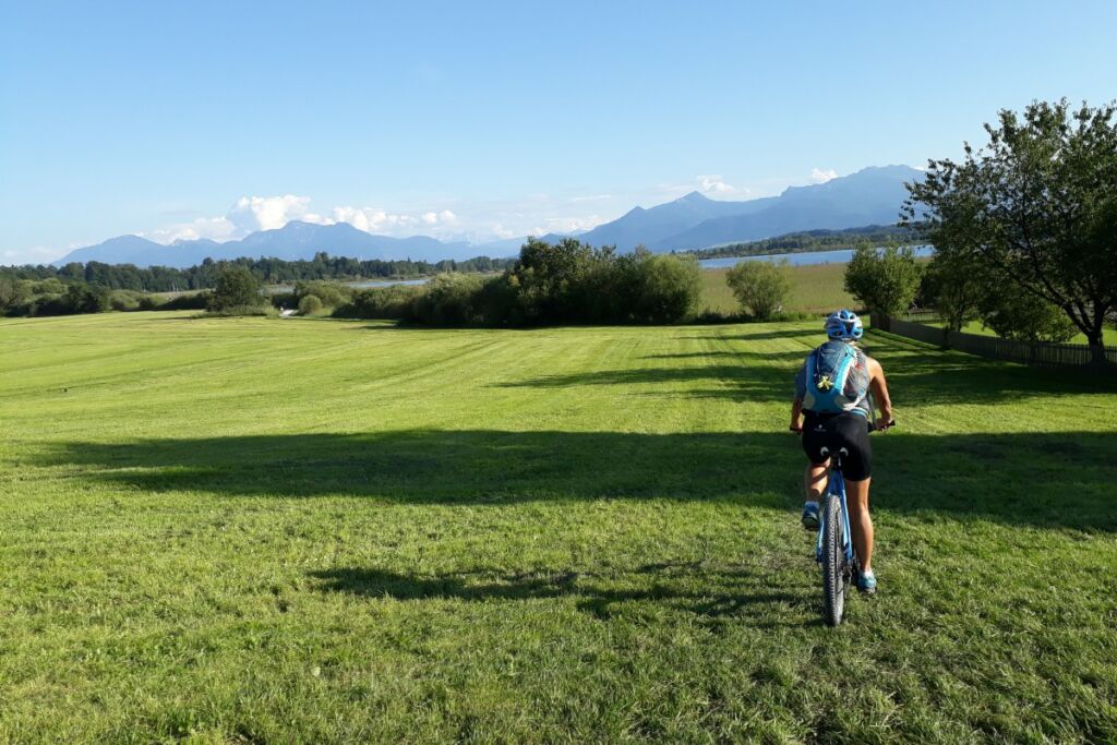 Photo showing the Uferrundweg around Lake Chiemsee, a famous cycling route with the Bavarian Alps in the background