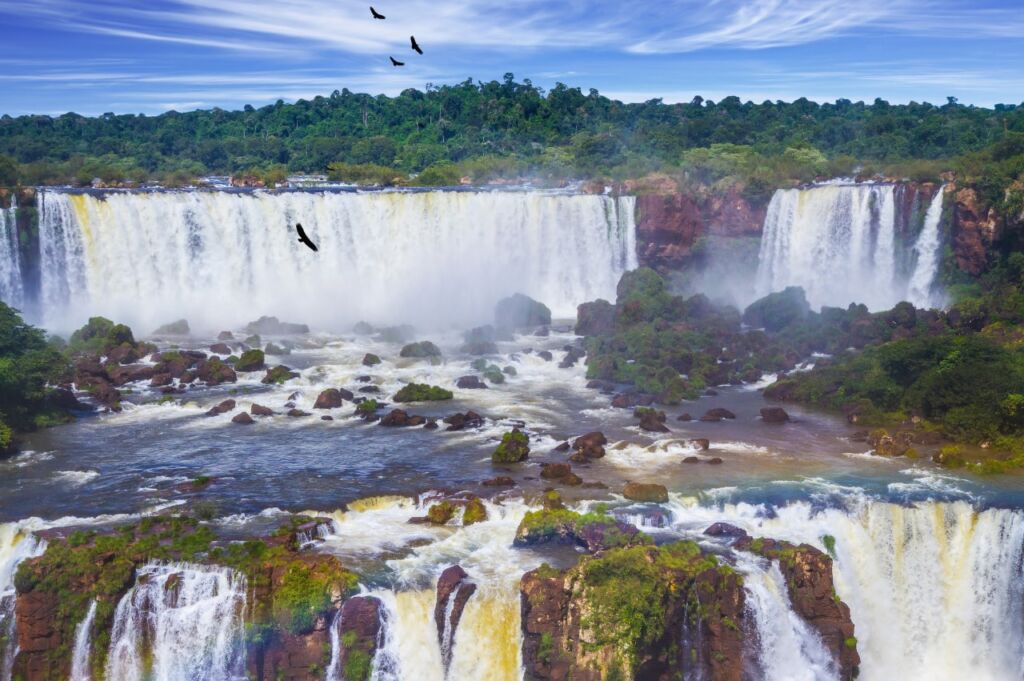 Hawks soaring over Iguaza Falls - Argentina and Brazil