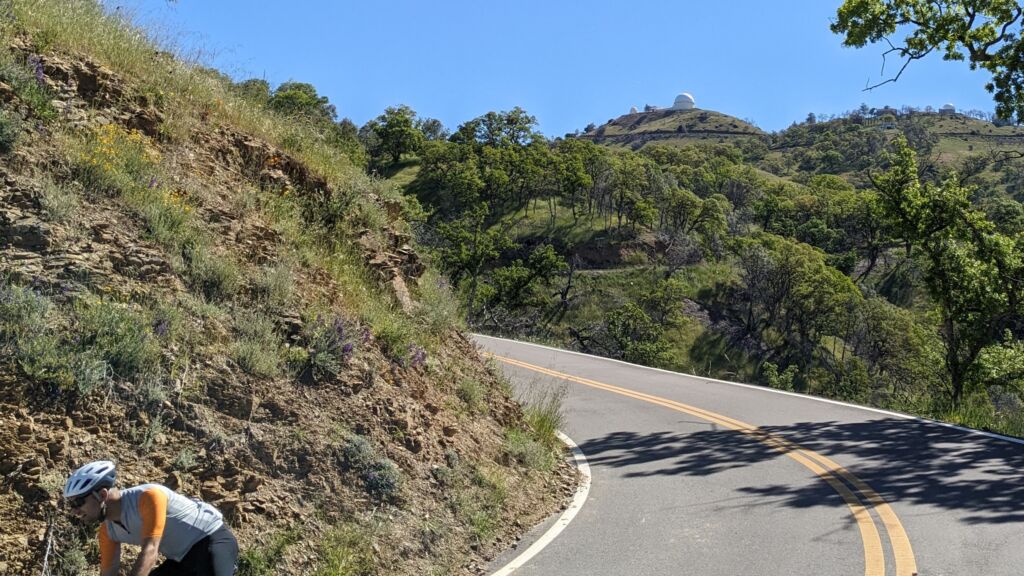 A cyclist descends a paved road surrounded by green trees with a white observatory dome on top of the mountain behind him.