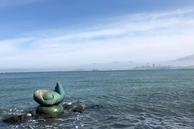Making Memories in Marin